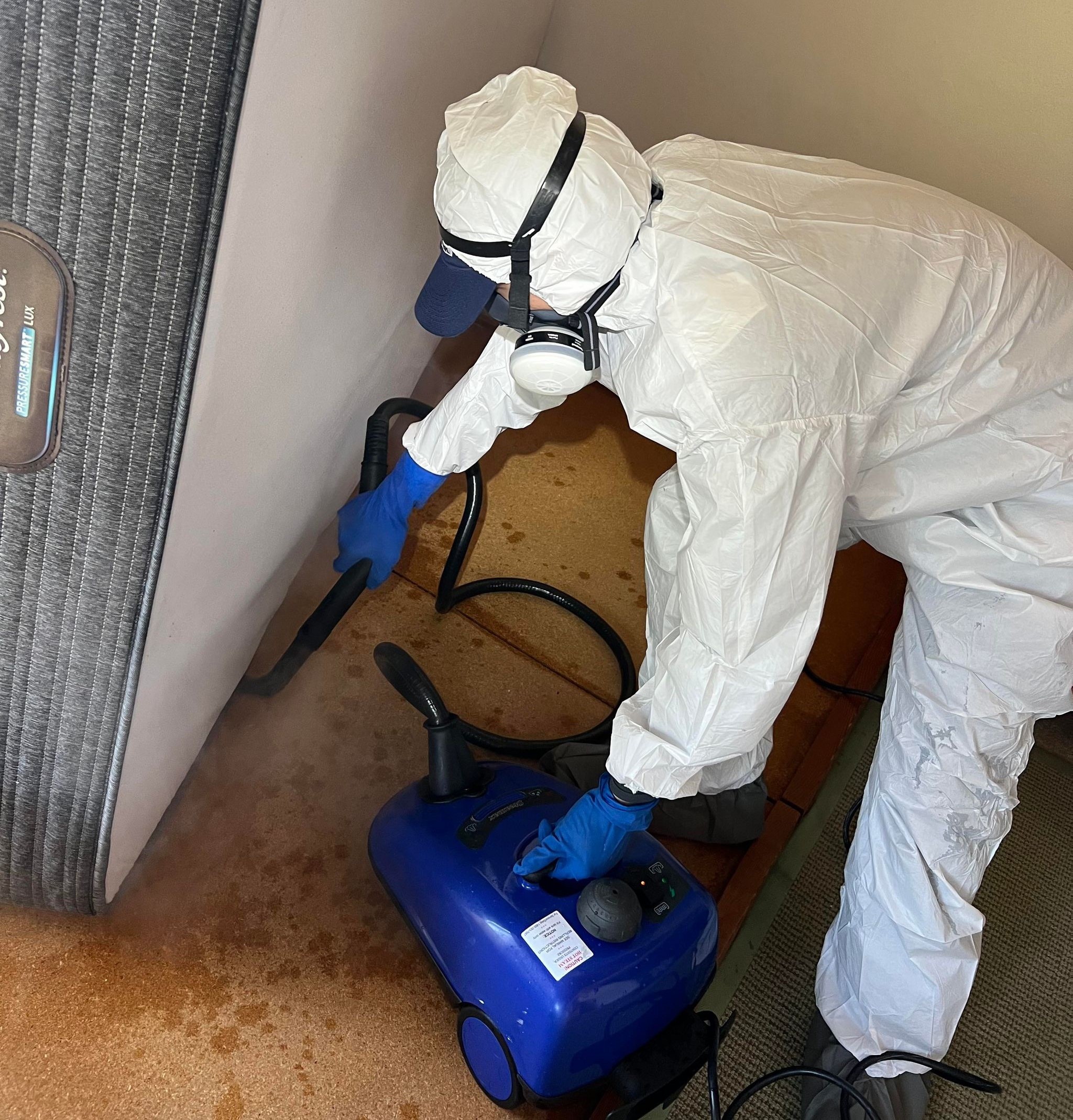Releasing Fumes to Kill Bed Bugs